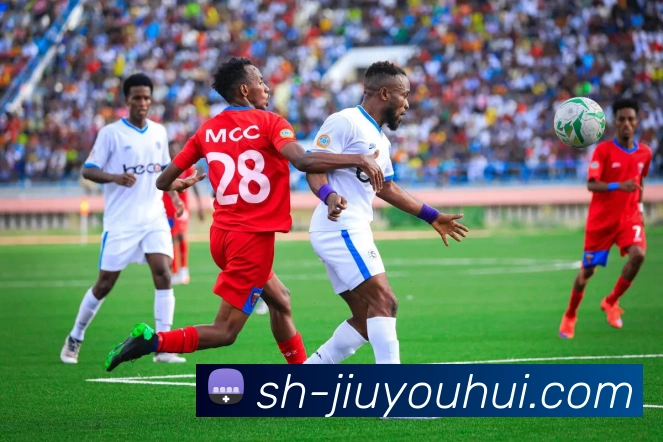 多媒体互动体验